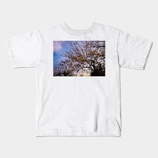 Spring flowers pictures, peach colors Kids T-Shirt